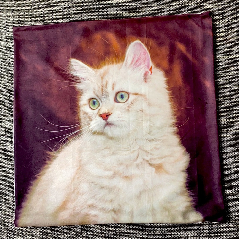 Cat Lady Gift Bundle - 3x Cushion covers - Picture 4 of 5